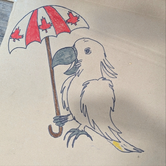 🇨🇦🌲All the fun finds🌲🇨🇦 - Picture 3 of 3